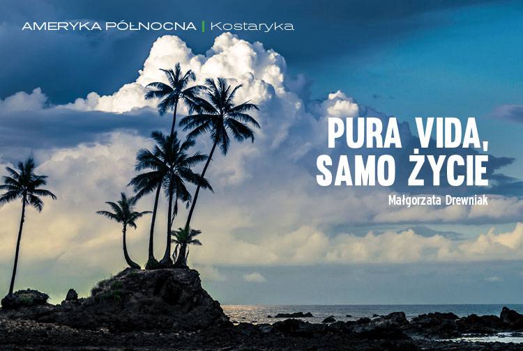 Losowy darmowy artykuł